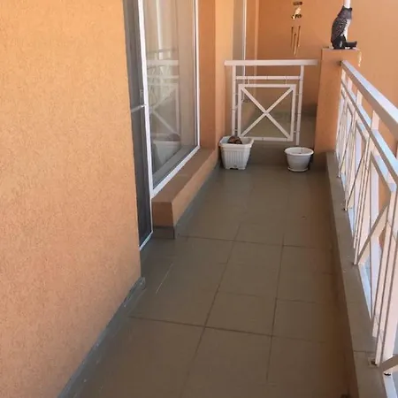 1 Bed In Sunny Day 6 Daire